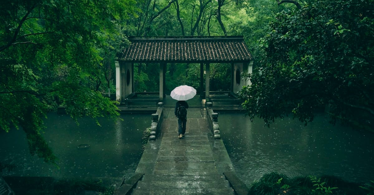 hangzhou rain - person walking with umbrella in rain