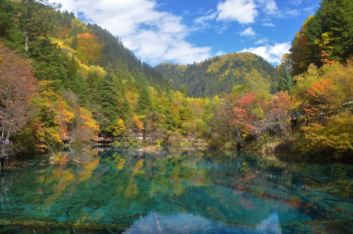 Vibrant autumn foliage reflecting in crystal-clear alpine lakes of Jiuzhaigou Valley China