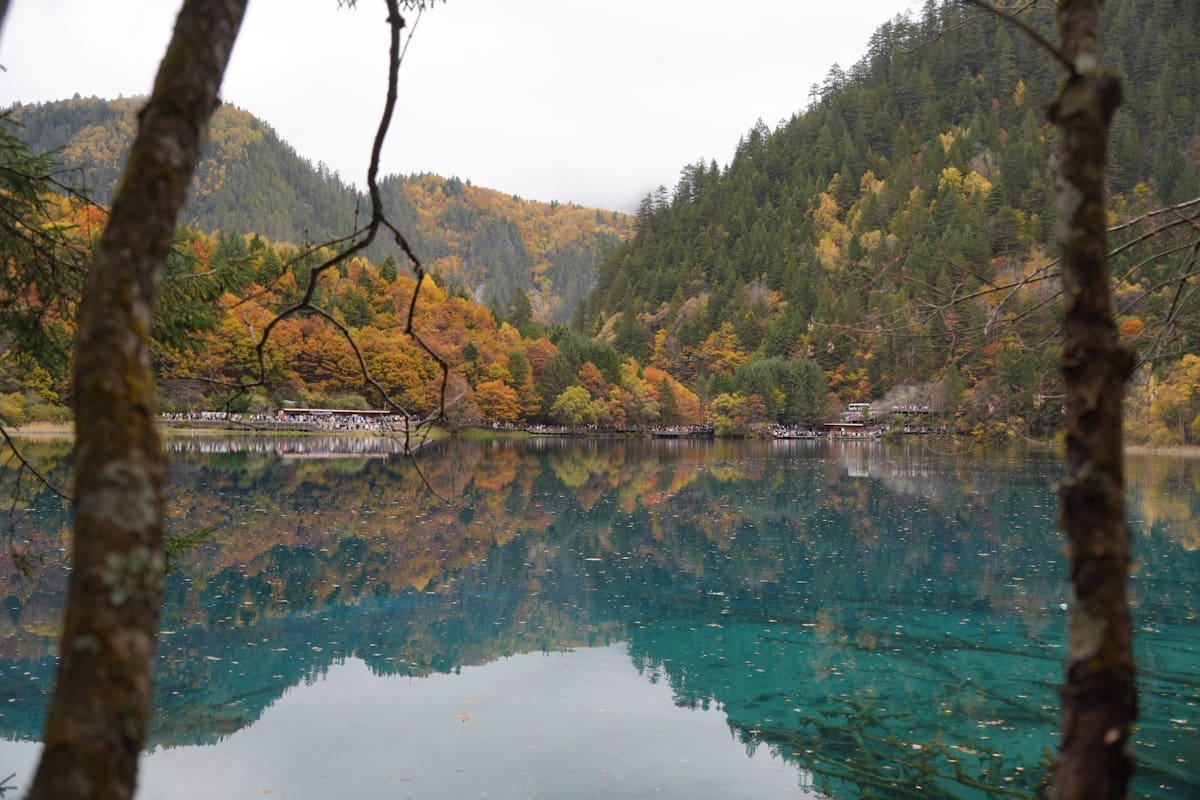 Multi-tiered waterfalls cascading through autumn forests in Jiuzhaigou Valley China