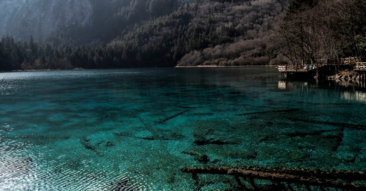 jiuzhaigou travel - turquoise lake with submerged logs and mountains