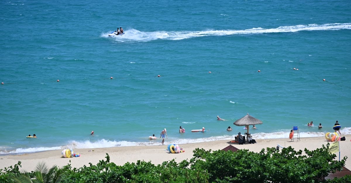 Sanya tropical beach - palm trees and ocean view