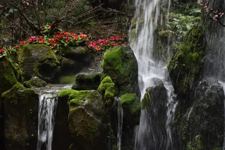 travel sichuan