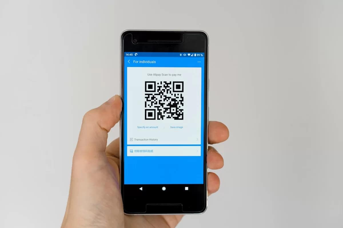 Mobile payment at street food stall - WeChat Pay and Alipay