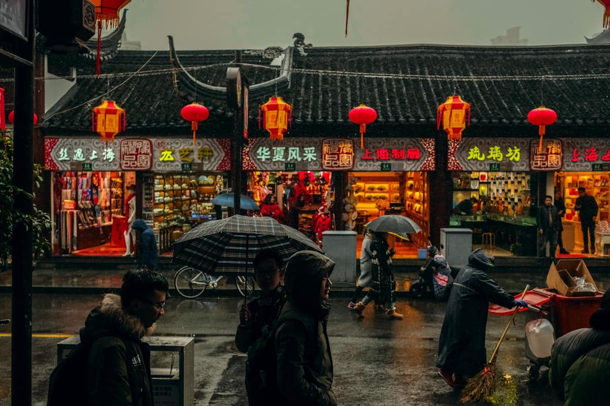 china in november - shanghai street autumn mild weather